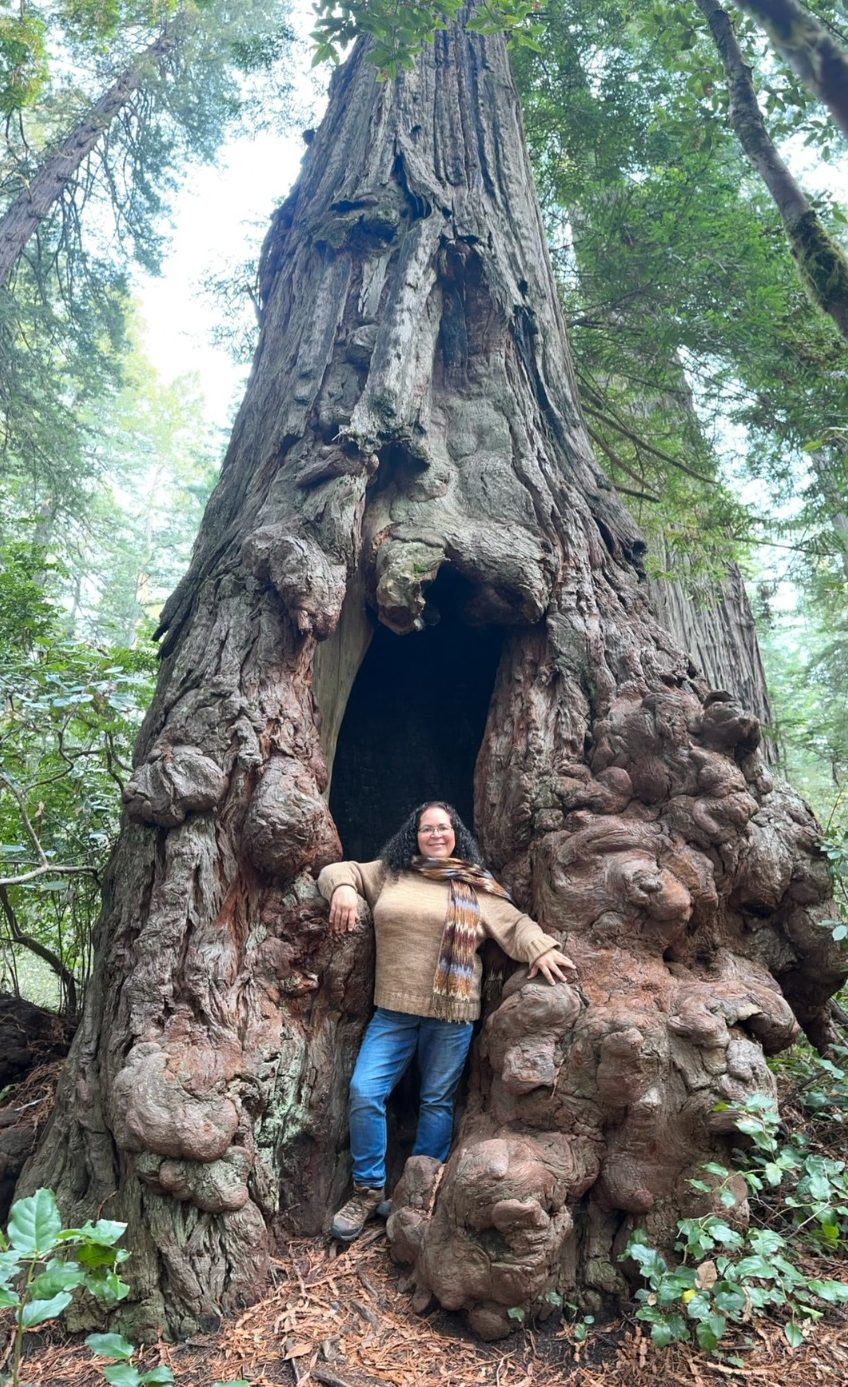 Elisabeth standing inside a large, gnarled tree trunk in a forest.